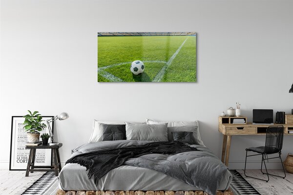 Tablouri pe sticlă Stadionul de fotbal cu gazon