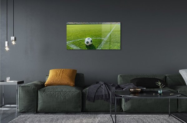 Tablouri pe sticlă Stadionul de fotbal cu gazon