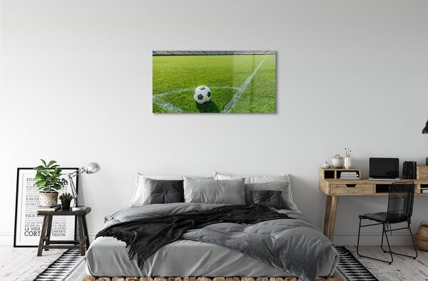 Tablouri pe sticlă Stadionul de fotbal cu gazon