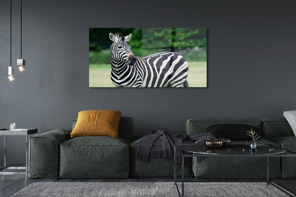 Tablouri pe sticlă caseta Zebra