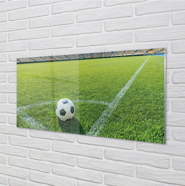Panouri de sticlă Stadionul de fotbal cu gazon