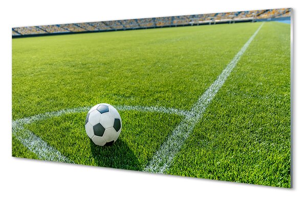 Panouri de sticlă Stadionul de fotbal cu gazon