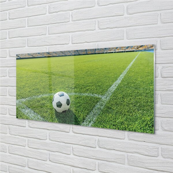 Tablouri pe sticlă Stadionul de fotbal cu gazon