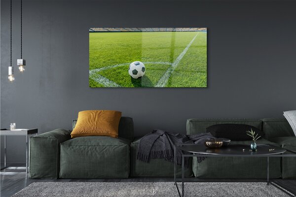 Tablouri pe sticlă Stadionul de fotbal cu gazon