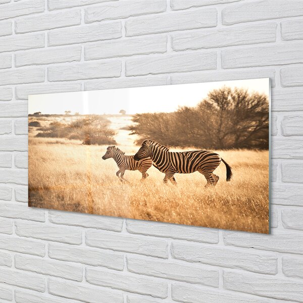 Panouri de sticlă Zebra câmp apus de soare