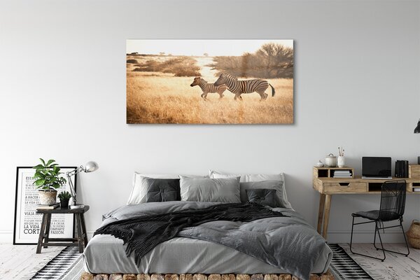 Tablouri pe sticlă Zebra câmp apus de soare