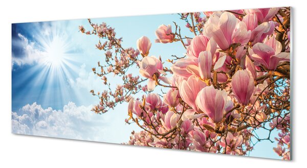 Tablouri pe sticlă Magnolia cer soare