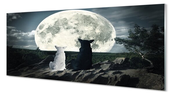Tablouri pe sticlă pădure Lupii luna