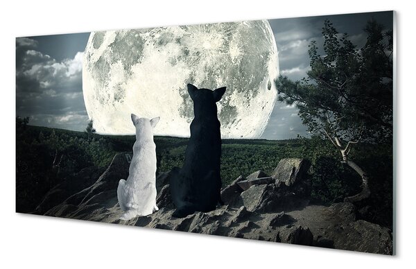 Tablouri pe sticlă pădure Lupii luna