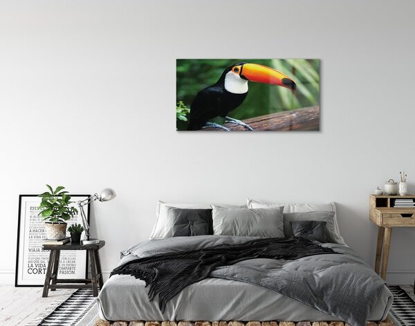 Tablouri pe sticlă Toucan pe o ramură
