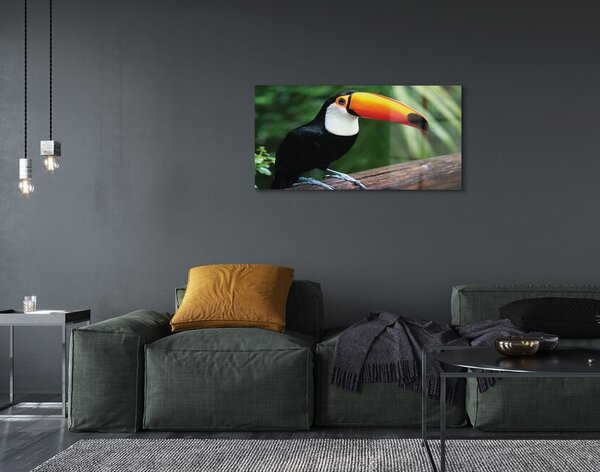 Tablouri pe sticlă Toucan pe o ramură