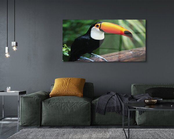 Tablouri pe sticlă Toucan pe o ramură
