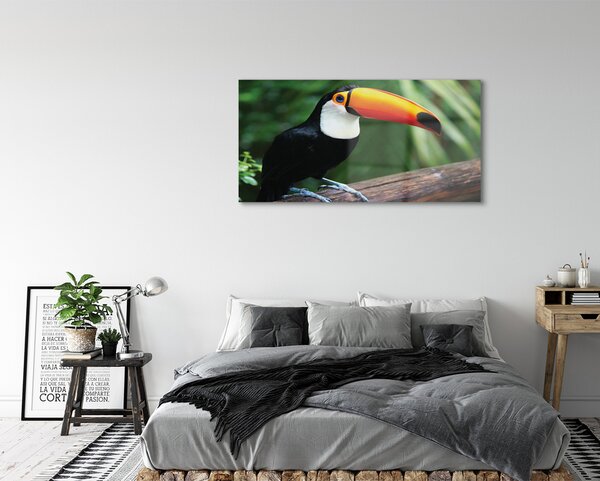 Tablouri pe sticlă Toucan pe o ramură