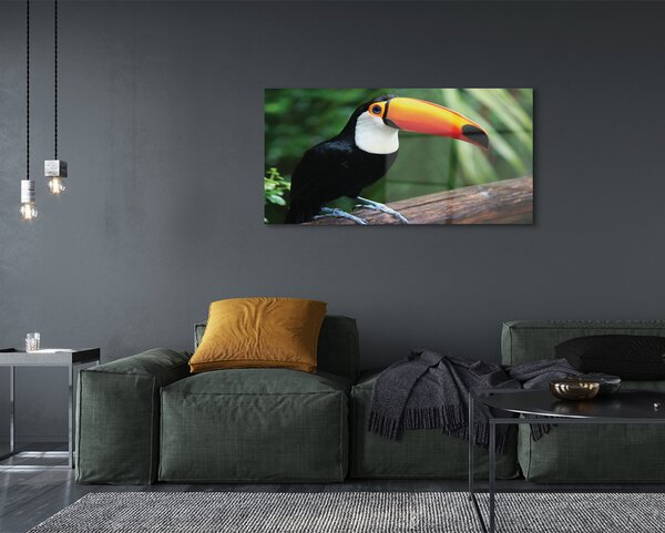 Tablouri pe sticlă Toucan pe o ramură
