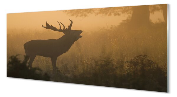 Tablouri pe sticlă Sunrise Deer