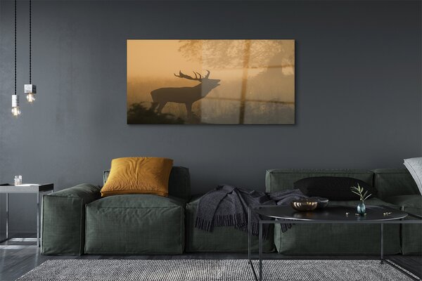 Tablouri pe sticlă Sunrise Deer