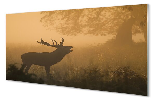 Panouri de sticlă Sunrise Deer