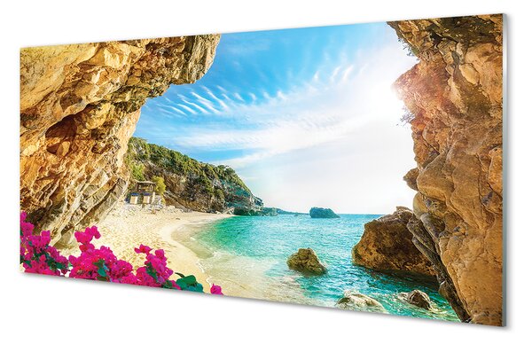 Tablouri pe sticlă Grecia Coast stânci flori