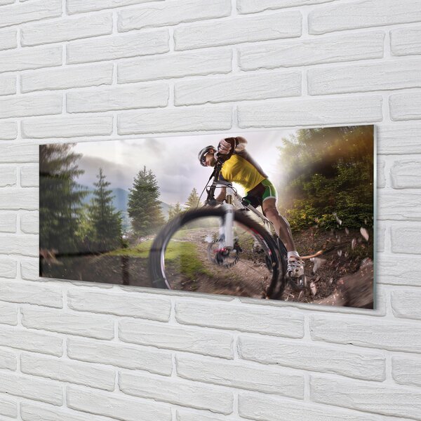 Tablouri pe sticlă Cloud mountain bike