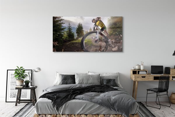 Tablouri pe sticlă Cloud mountain bike