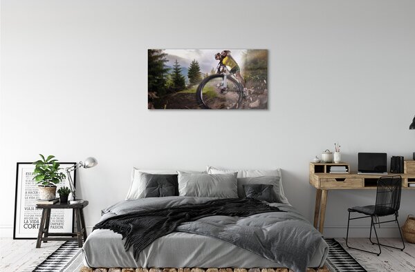 Tablouri pe sticlă Cloud mountain bike