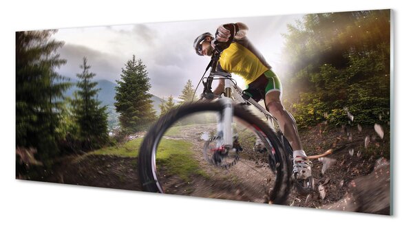 Tablouri pe sticlă Cloud mountain bike
