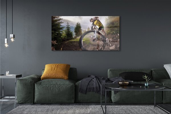 Tablouri pe sticlă Cloud mountain bike