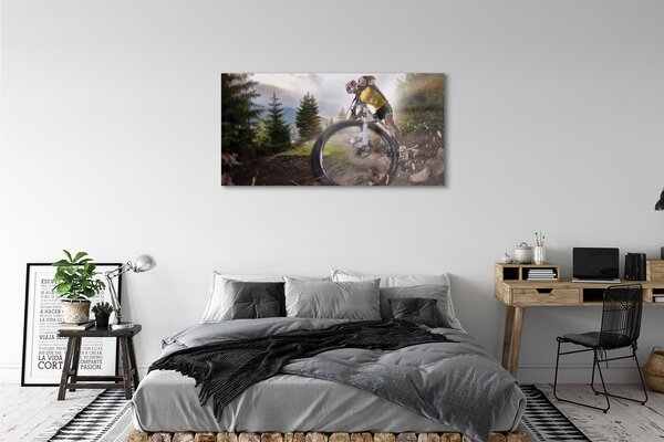Tablouri pe sticlă Cloud mountain bike