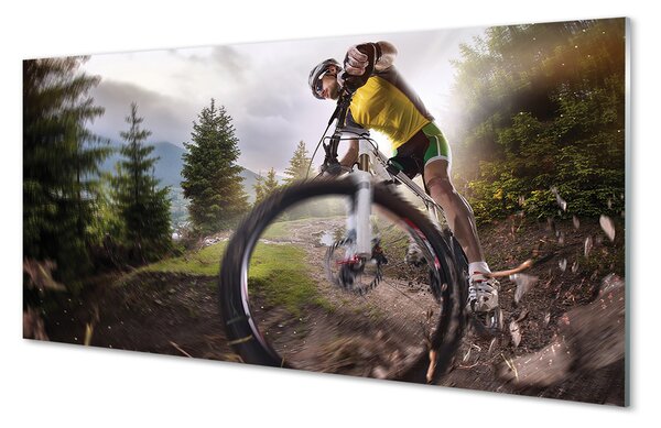 Tablouri pe sticlă Cloud mountain bike