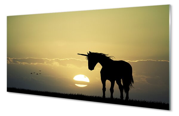Tablouri pe sticlă Câmp apus de soare unicorn