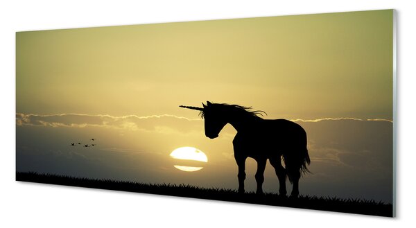 Tablouri pe sticlă Câmp apus de soare unicorn