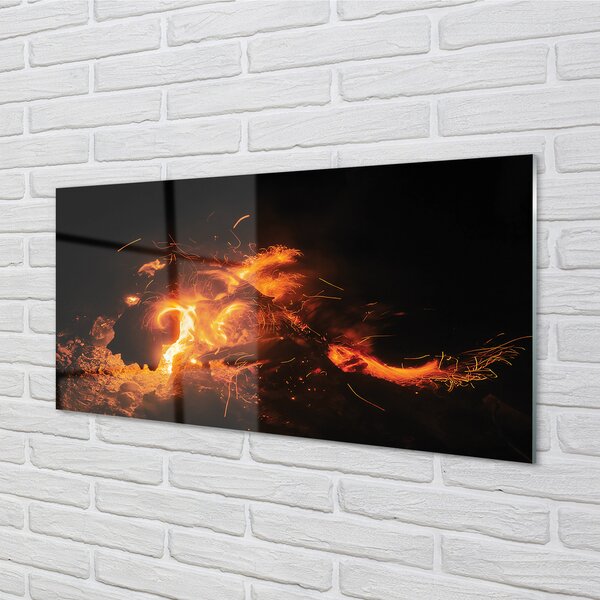Tablouri acrilice Dragon de foc