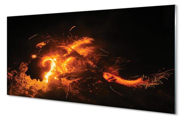 Tablouri acrilice Dragon de foc