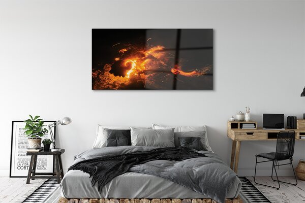 Tablouri acrilice Dragon de foc