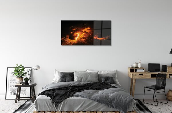 Tablouri acrilice Dragon de foc