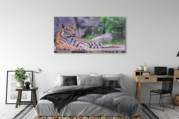 Tablouri pe sticlă Tiger într-o grădină zoologică