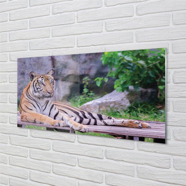 Tablouri pe sticlă Tiger într-o grădină zoologică