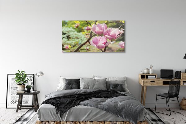 Tablouri pe sticlă copac magnolie