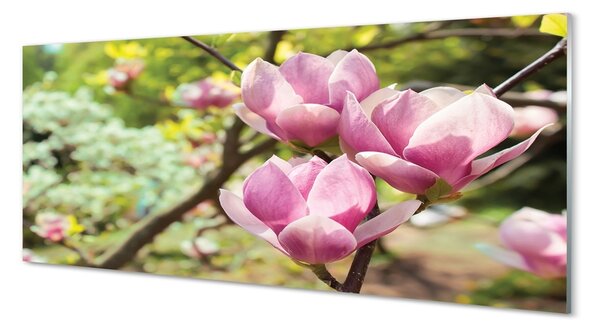 Tablouri pe sticlă copac magnolie