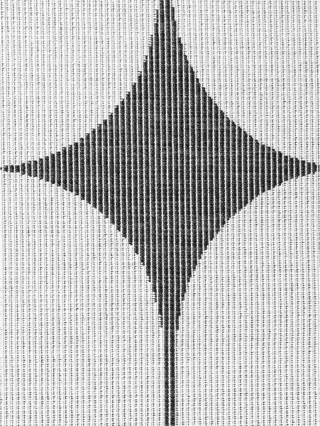 Covor pentru exterior și interior alb-negru 160x230 cm Duet Bowen – NORTHRUGS
