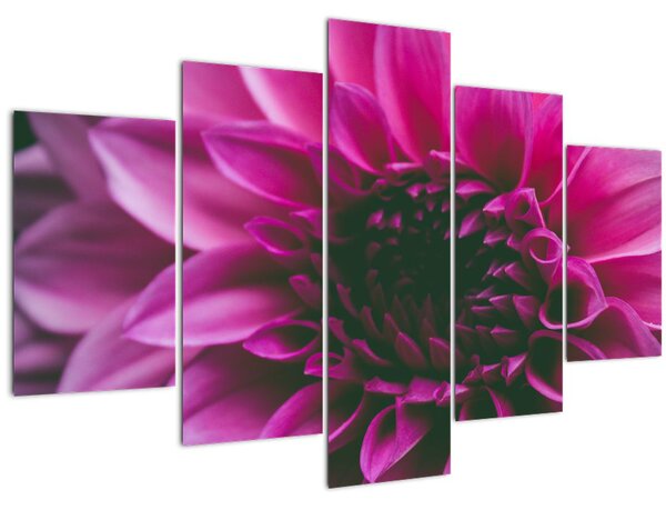 Tablou cu floarea roz (150x105 cm)