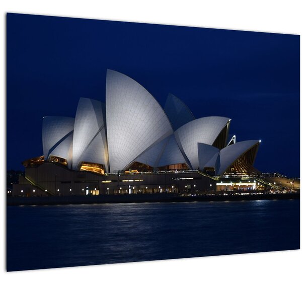 Tabloul Sydney nocturn (70x50 cm)