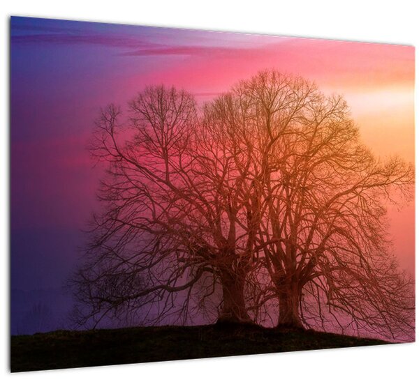 Tabloul pomilor în ceață (70x50 cm)
