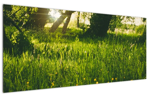 Tablou cu natura - lunca (120x50 cm)