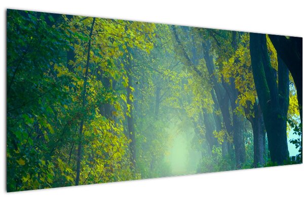 Tablou cu drum dea lungul cu copaci (120x50 cm)