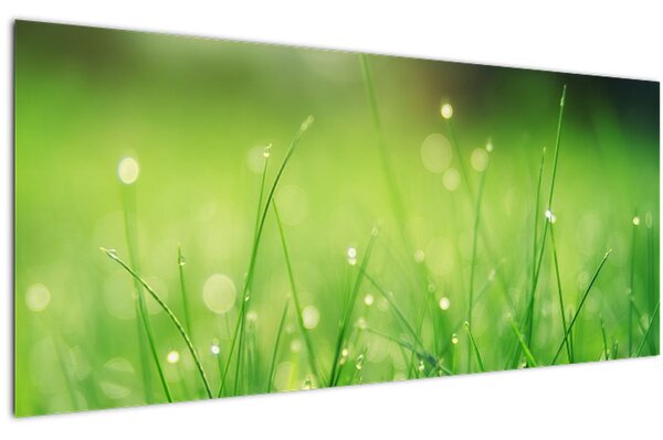 Tablou - roua pe iarbă (120x50 cm)