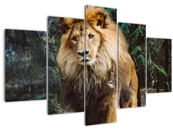 Tablou cu leu în natură (150x105 cm)