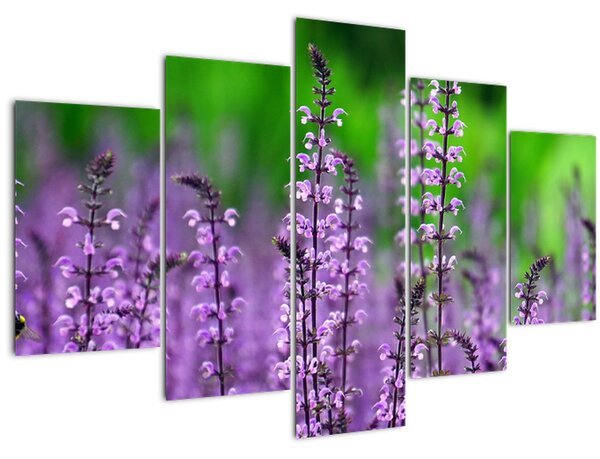 Tablou cu flori de luncă violete (150x105 cm)