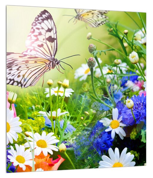 Tablou cu flori de vară cu fluture (30x30 cm)