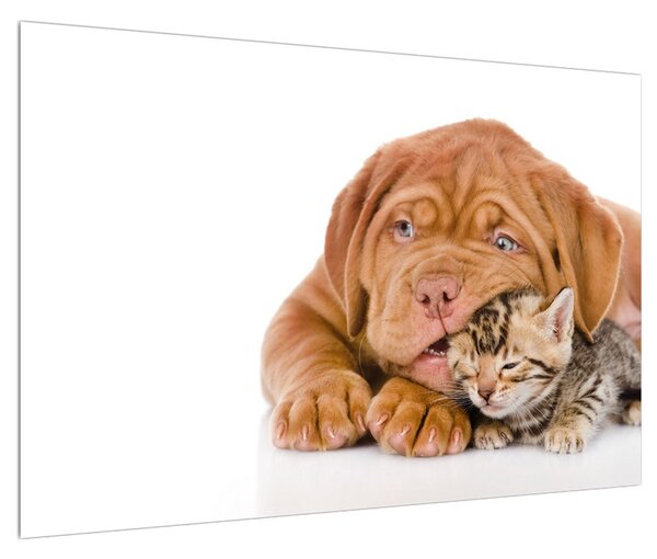 Tablou câinele cu pisicuța (90x60 cm)